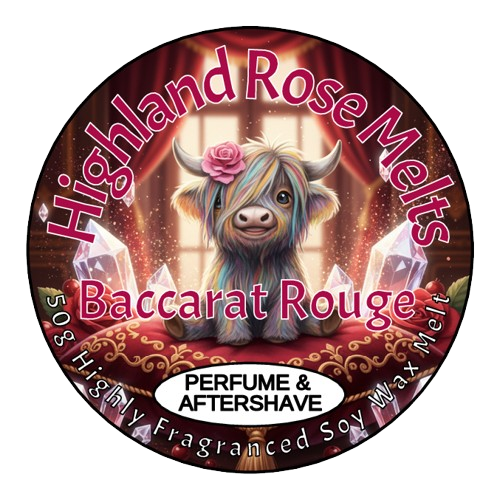 BACCARAT ROUGE WAX MELT POT