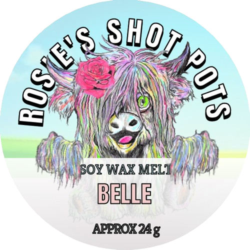 Our BELLE WAX MELT shot pot is a luxurious scent experience to remember. Infused with bright citrus notes of bergamot and orange flower, this high-end candle also contains a warm and enveloping blend of jasmine, tuberose, and ylang-ylang petals, underpinned with sensuous orris and patchouli.