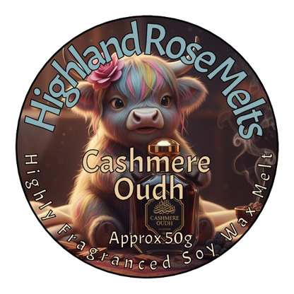CASHMERE & OUDH MELT POT