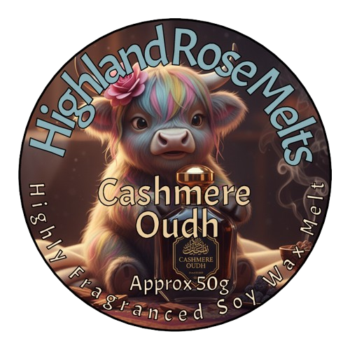 CASHMERE & OUDH MELT POT