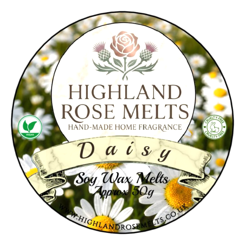 Daisy Wax Melt Pot