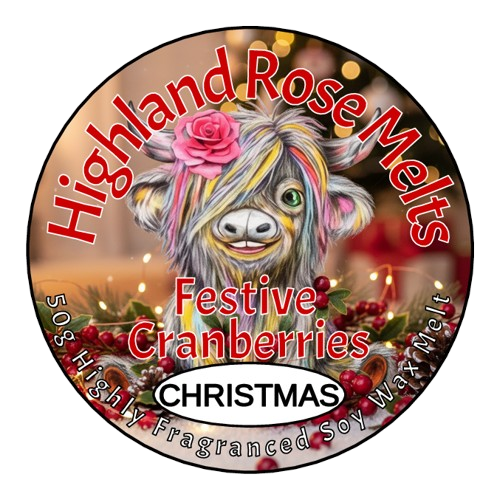 FESTIVE CRANBERRY WAX MELT POT