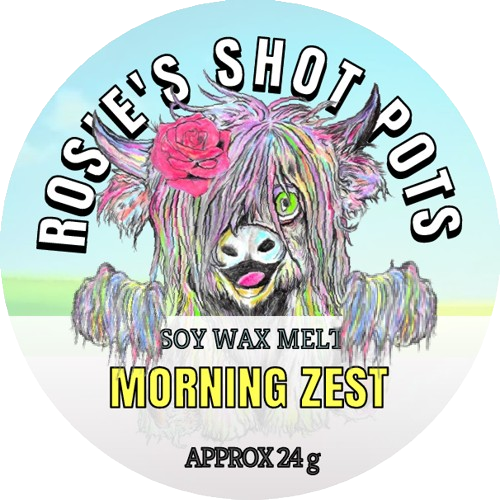 Awaken your senses with MORNING ZEST WAX MELT SHOT POT. Our luxurious wax melts feature a delicately crafted blend of lemongrass, citrus, sage and violet, with Cinnamon, Musk and vanilla for a truly unique aroma. Enjoy a sweet and invigorating scent every morning.