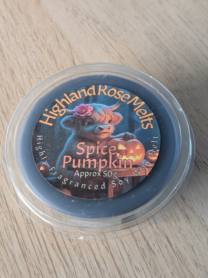 SPICE PUMPKIN MELT POT