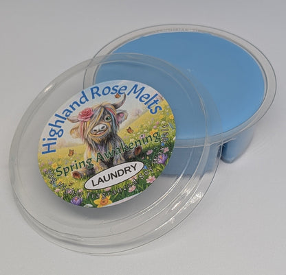 SPRING AWAKENING WAX MELT POT