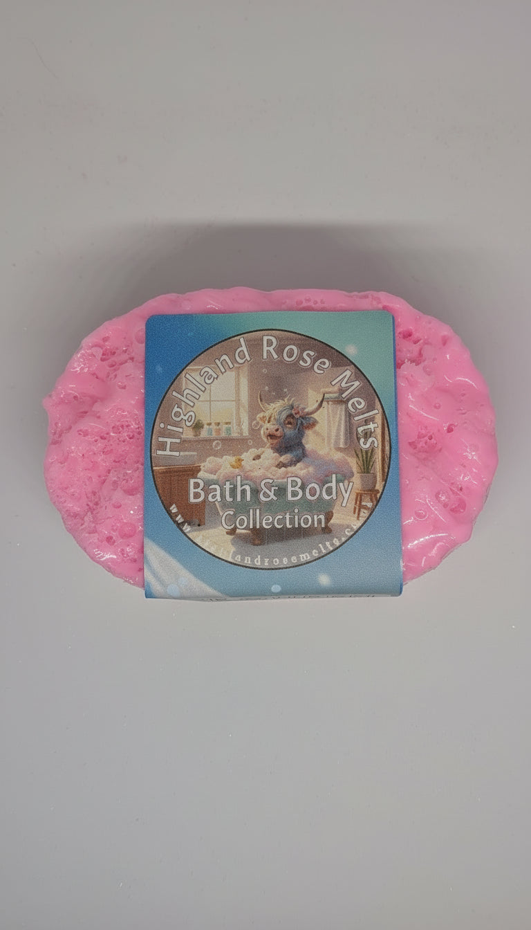 ICE QUEEN MINI SCENTED SOAP SPONGE