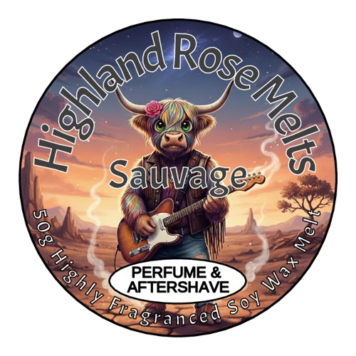 SAUVAGE WAX MELT POT