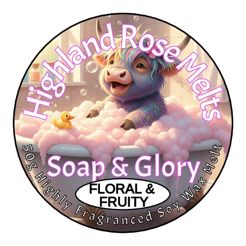 SOAP AND GLORY WAX MELT POT