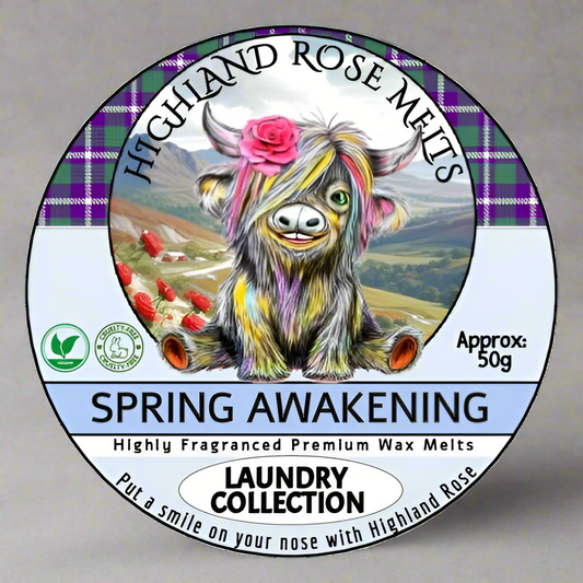 SPRING AWAKENING WAX MELT POT