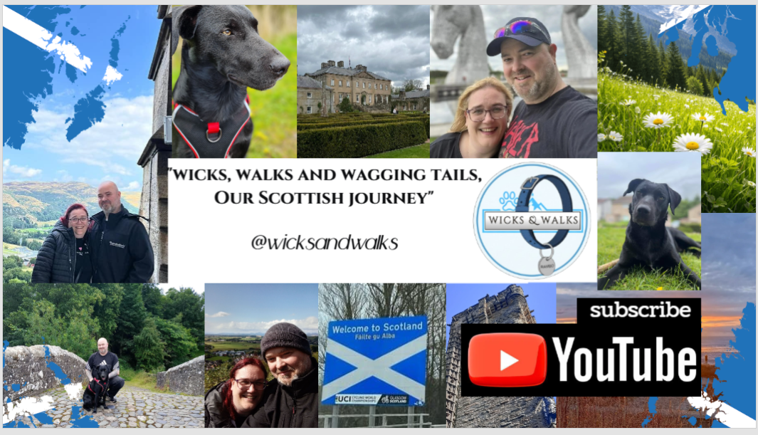 Load video: THE FIRST WICKS AND WALKS VIDEO