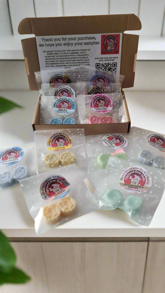 WAX MELT SAMPLE BOX (2 FOR 1)