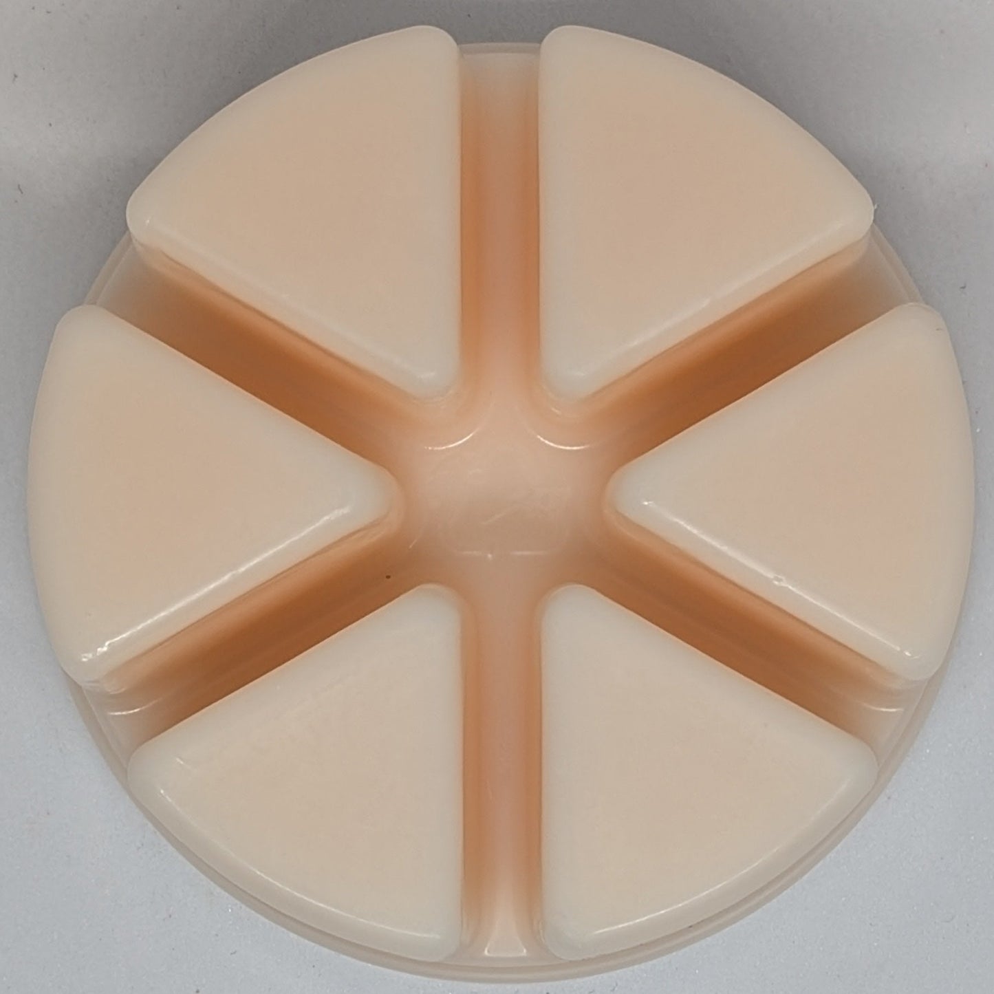 Coastal Contour Wax Melt Pot