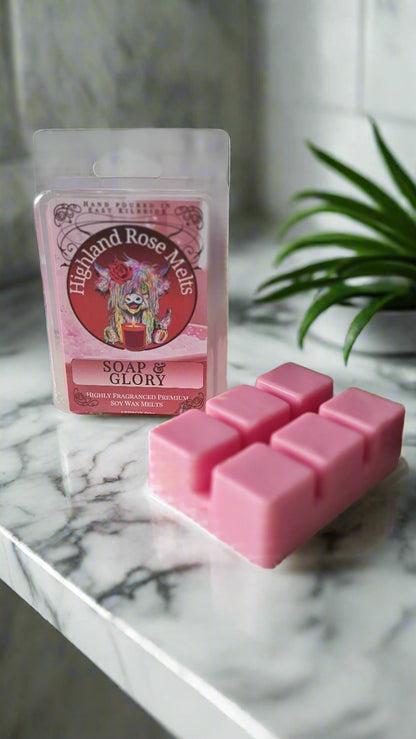 SOAP AND GLORY WAX MELT clam shell