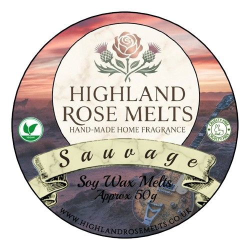 Sauvage Wax Melt Pot