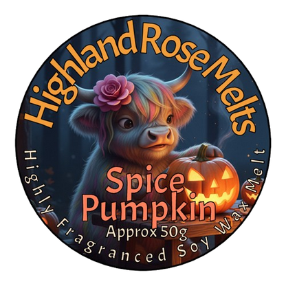 SPICE PUMPKIN MELT POT