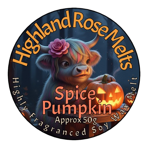SPICE PUMPKIN MELT POT