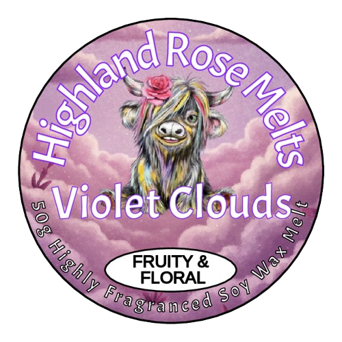VIOLET CLOUDS WAX MELT POT